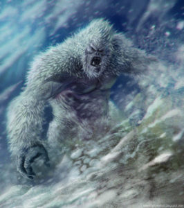 yeti